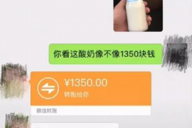 蒙阴为什么选择专业追讨公司来处理您的债务纠纷？